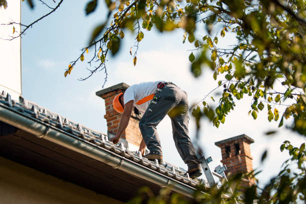 Best Roof Gutter Cleaning  in Preston Heights, IL