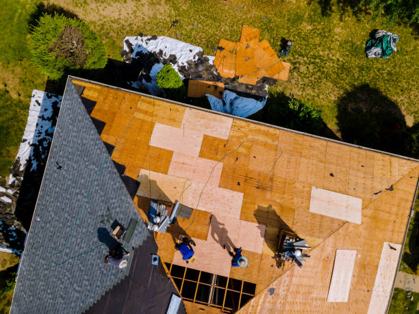 Roof Gutter Cleaning in Preston Heights, IL