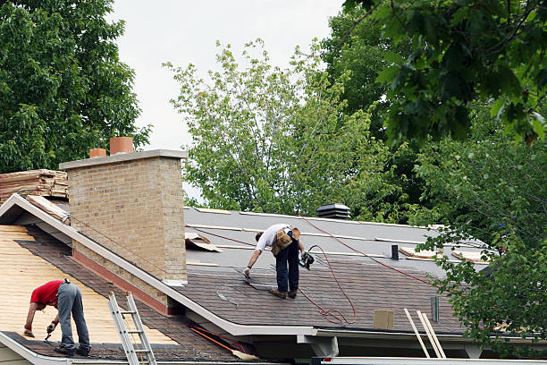 Best Metal Roofing Contractor  in Preston Heights, IL